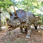 90% gerestaureerde Triceratops